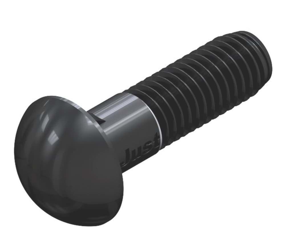 Bild für Kategorie DIN 607 ➤ Halbrundschrauben mit Nase