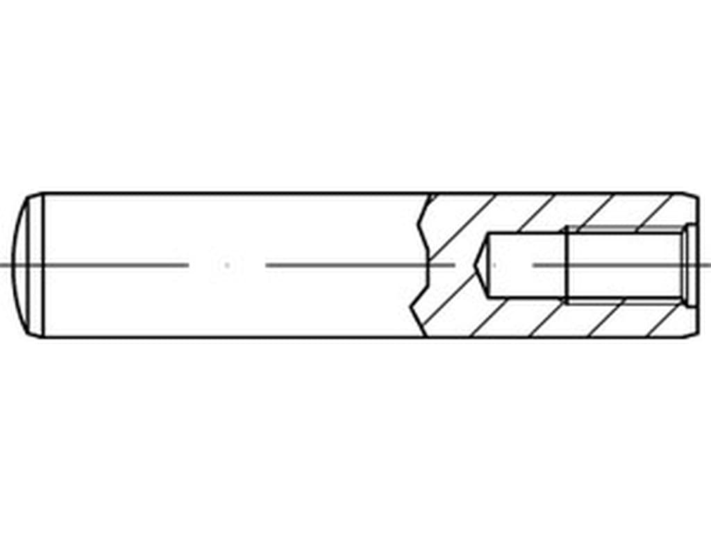 Bild von DIN 7979 Stahl 20x55 (blank) Zylinderstifte mit Innengewinde - Pkg. (1)