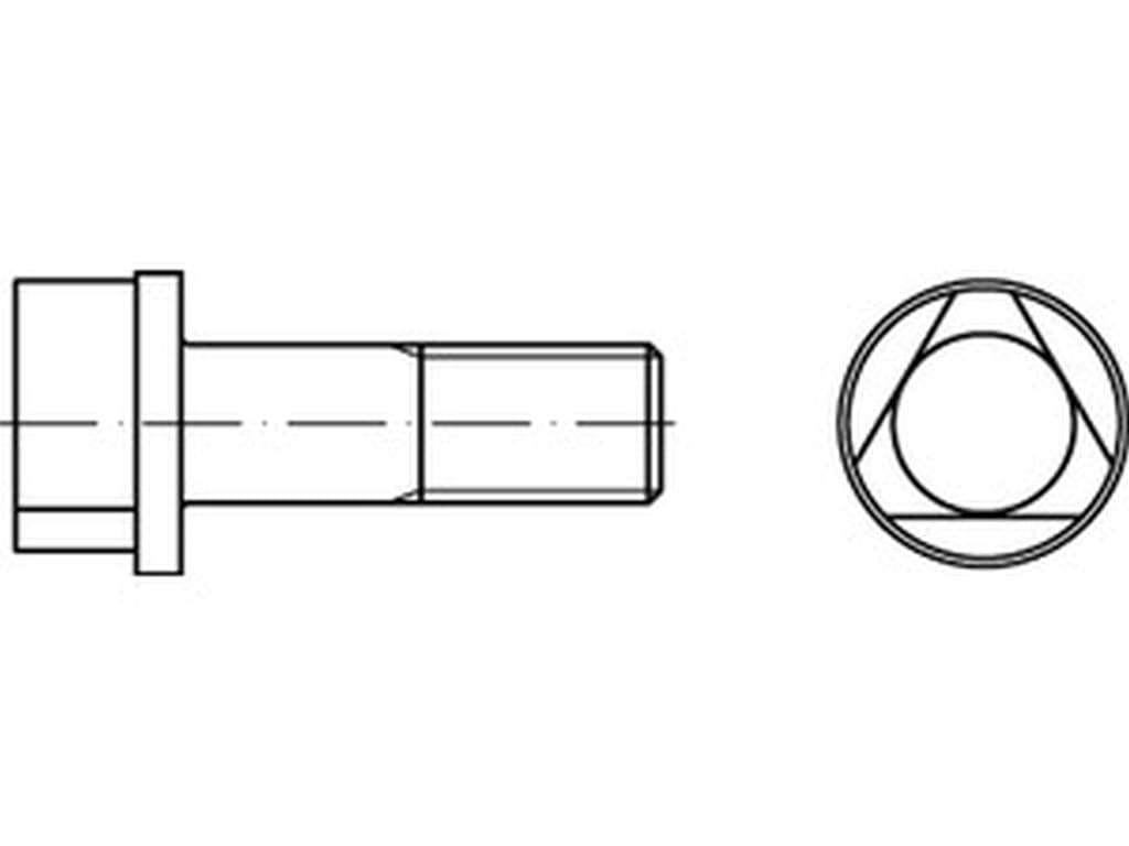 Bild für Kategorie DIN 22424 ➤ Sicherungsschrauben - Dreikantschrauben