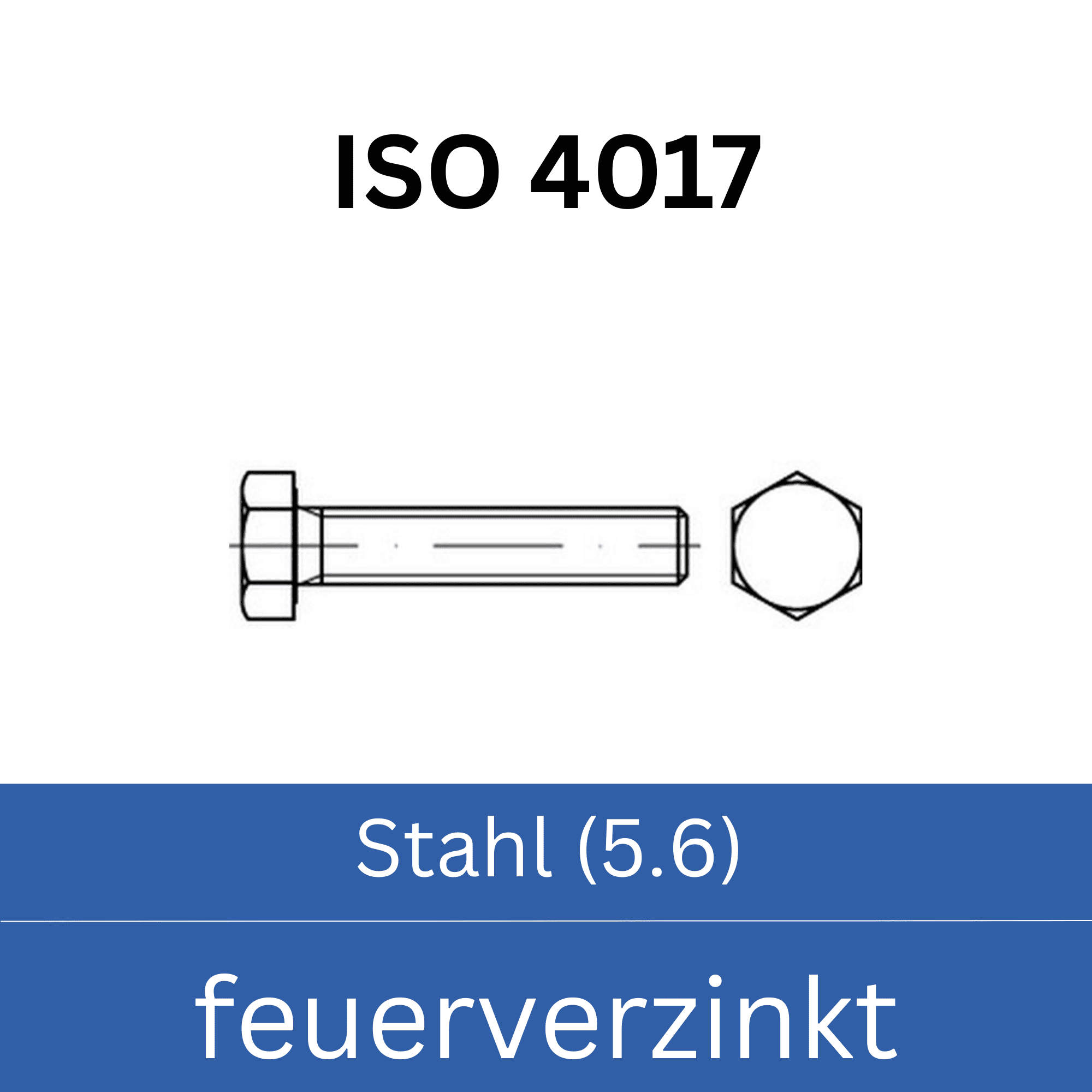 Bild für Kategorie ➤ Kategorie: ISO 4017 Stahl (5.6) feuerverzinkt