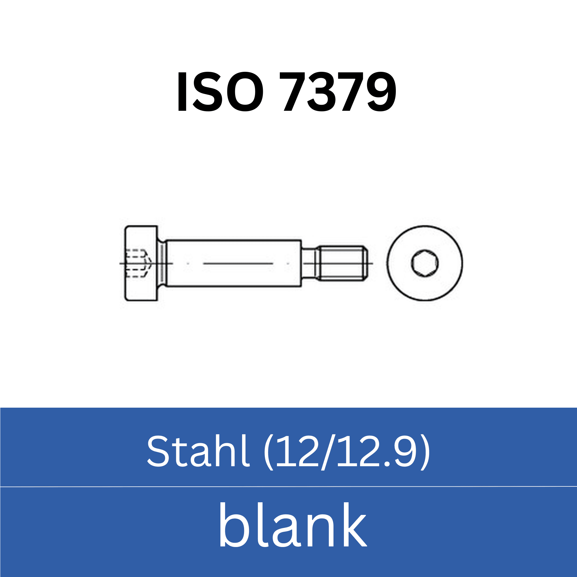 Bild für Kategorie ➤ Kategorie: DIN 7379 Stahl (12/12.9) blank