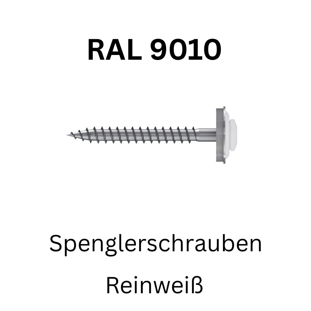 Bild von Spenglerschrauben Edelstahl (farbige Ausführung)- RAL 9010